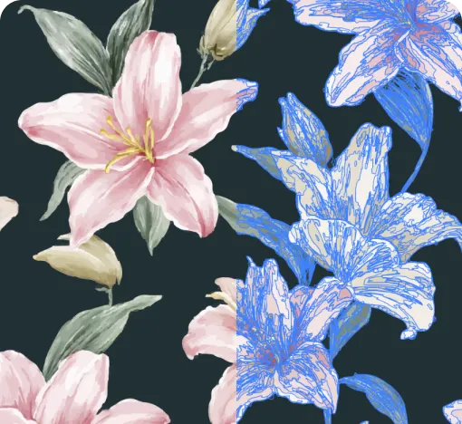 Image To Vector