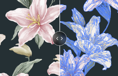 Image To Vector